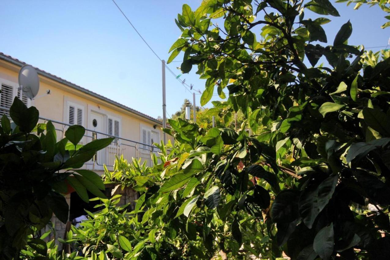 Guesthouse Gradina Ловіште Екстер'єр фото